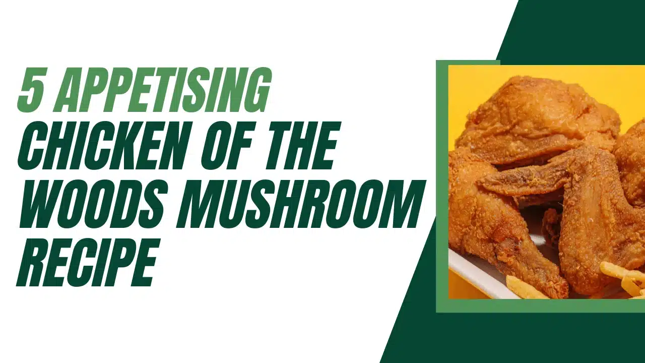 chicken of the woods mushroom recipes